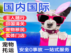 沈阳机场邮寄国际宠物托运 【国